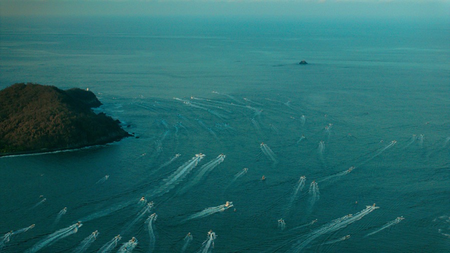 arranque-torneo-pesca-pez-vela-2026-zih-.jpeg