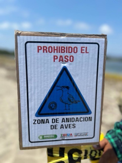 cerco-proteccion-charran-playa-linda-ixtapa.jpg cerco-proteccion-charran-playa-linda-ixtapa.jpg