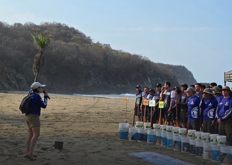 guardianes-costa-zihuatanejo-2026-majahua-.jpg guardianes-costa-zihuatanejo-2026-majahua-.jpg
