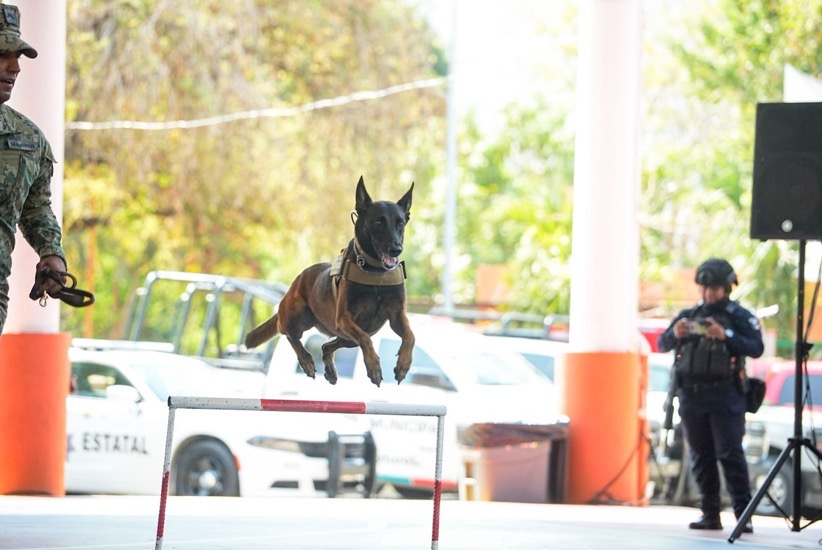 un-dia-con-el-policia-zihuatanejo-2026-secu-prepa-.jpeg un-dia-con-el-policia-zihuatanejo-2026-secu-prepa-.jpeg
