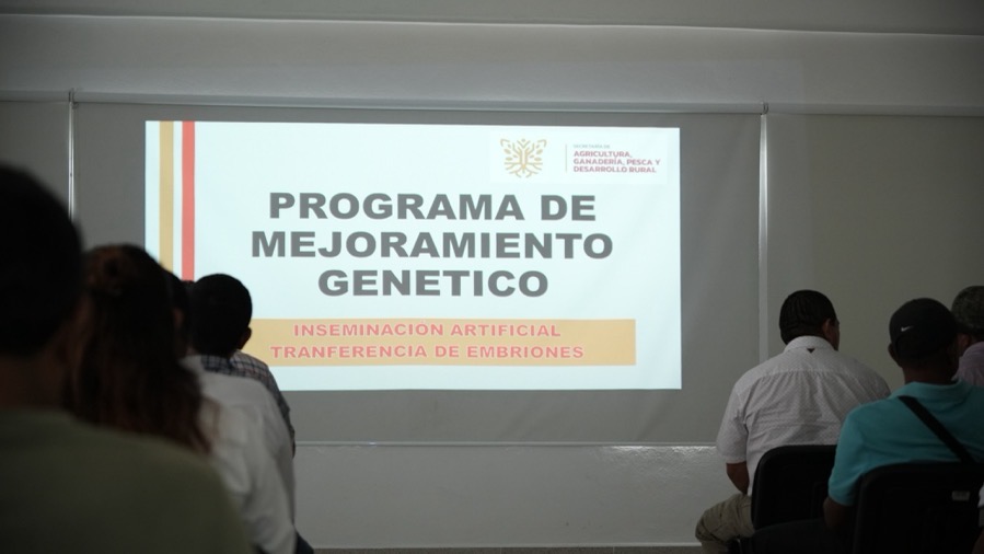 apoyos-clave-sector-ganadero-zihuatanejo-2026-gob-2026.jpeg