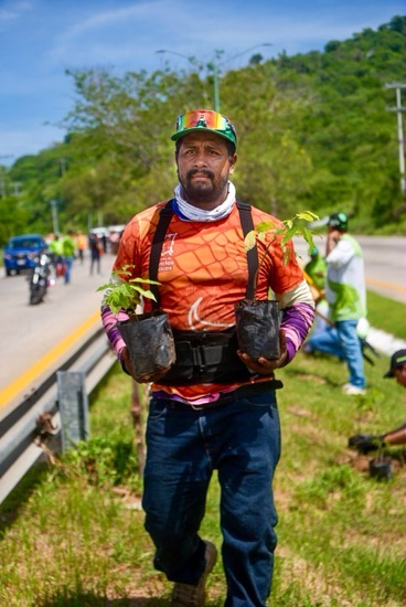 campania-reforestacion-zihuatanejo-2026-gob-zih.jpeg campania-reforestacion-zihuatanejo-2026-gob-zih.jpeg