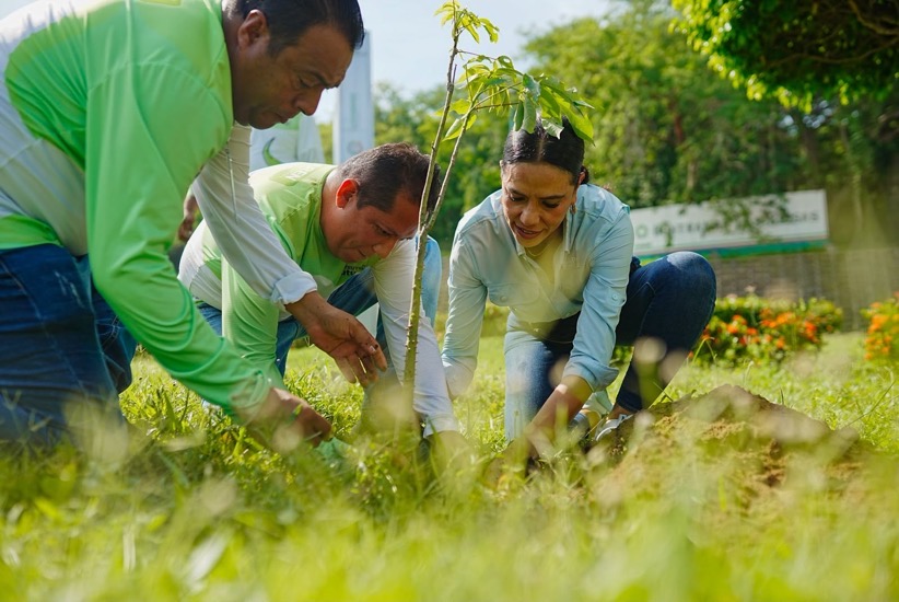 campania-reforestacion-zihuatanejo-2026-gob-zih.jpeg campania-reforestacion-zihuatanejo-2026-gob-zih.jpeg
