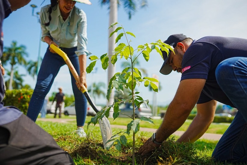 campania-reforestacion-zihuatanejo-2026-gob-zih.jpeg campania-reforestacion-zihuatanejo-2026-gob-zih.jpeg