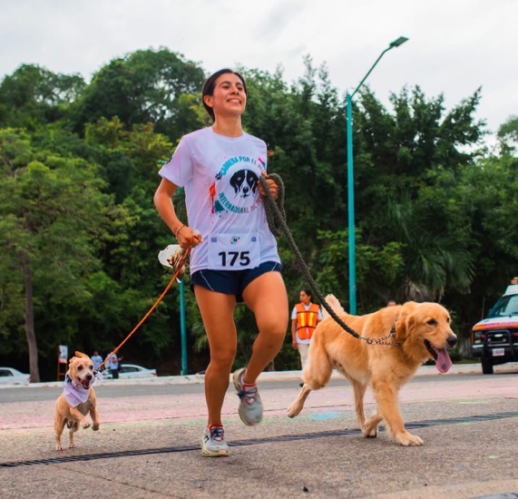 segunda-carrera-canina-2026-azul-ixtapa-.jpeg segunda-carrera-canina-2026-azul-ixtapa-.jpeg