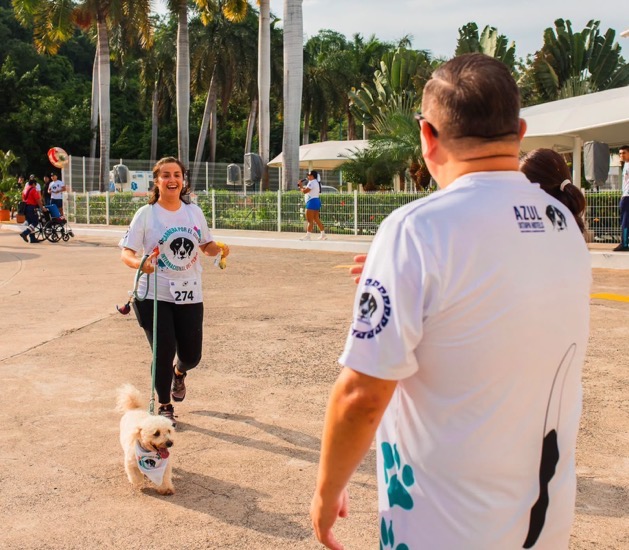 segunda-carrera-canina-2026-azul-ixtapa-.jpeg segunda-carrera-canina-2026-azul-ixtapa-.jpeg