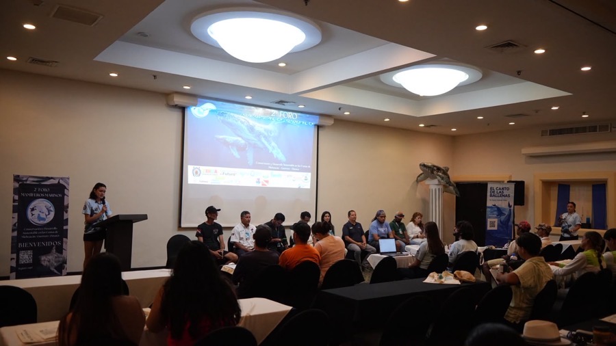segundo-foro-Mamíferos-Marinos-2026-ixtapa-zihuatanejo.jpeg