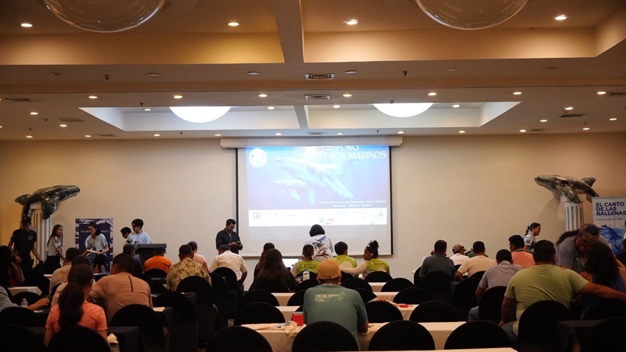 segundo-foro-Mamíferos-Marinos-2026-ixtapa-zihuatanejo.jpeg