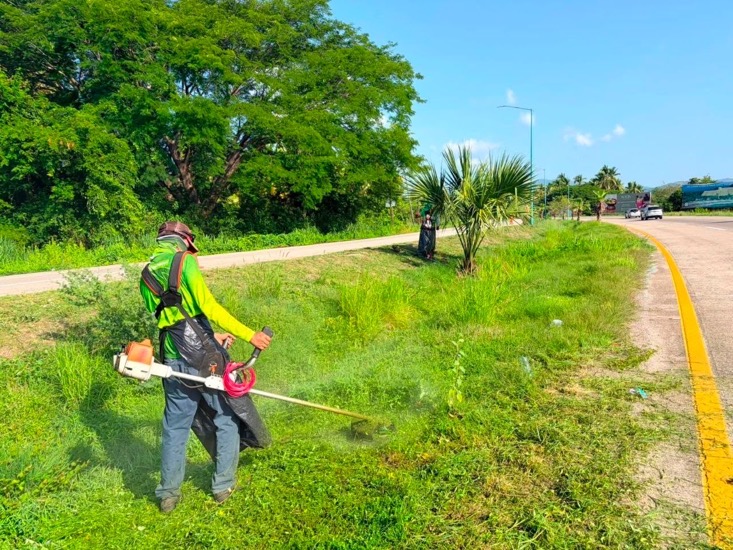 servicios-publicos-limpieza-areas-verdes-temporada-lluvias-2026-.jpeg servicios-publicos-limpieza-areas-verdes-temporada-lluvias-2026-.jpeg