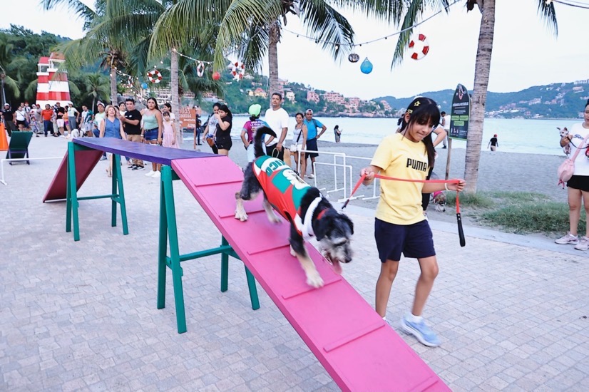 Rally-canino-verano-kids-zihuatanejo-2026-gob-zih.jpeg