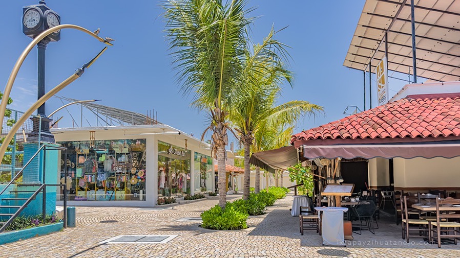 afluecia-regular-zona-de-ixtapa-2026-verano.jpg