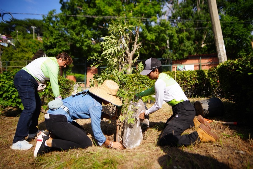 mejora-espacios-plantas-polinizadoras-arboles-nativos-zihuatanejo-gob-2026.jpeg