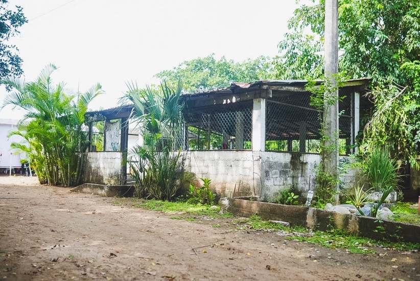 arranque-club-tercera-edad-buenavista-zihuatanejo-2026.jpeg