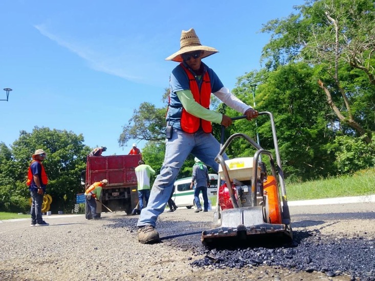 bacheo-2026-zihuatanejo-morelos.jpg