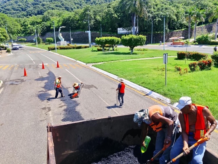 bacheo-2026-zihuatanejo-morelos.jpg