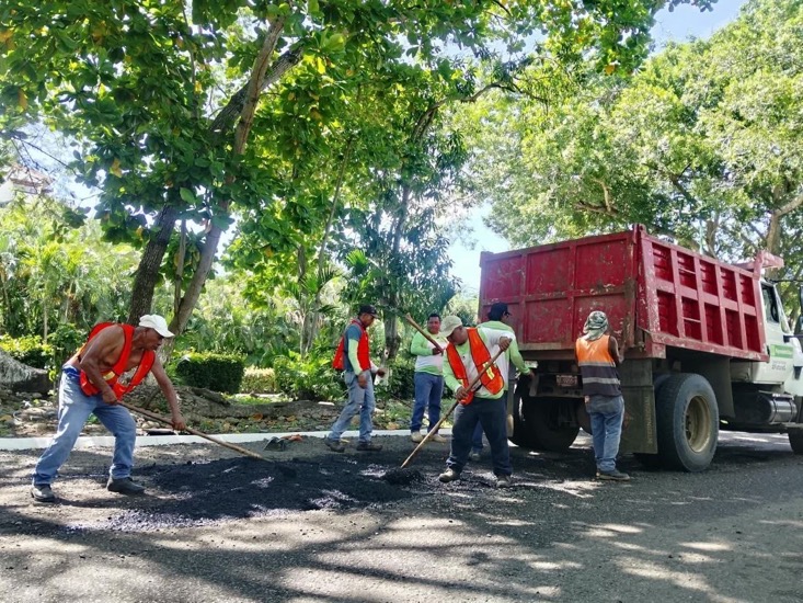 bacheo-2026-zihuatanejo-morelos.jpg