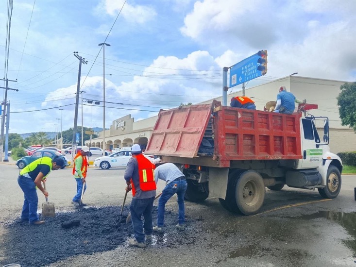 bacheo-gob-zih-2026-oct.jpeg