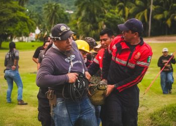 Censo y estudio de cocodrilos en las lagunas y esteros de Zihuatanejo